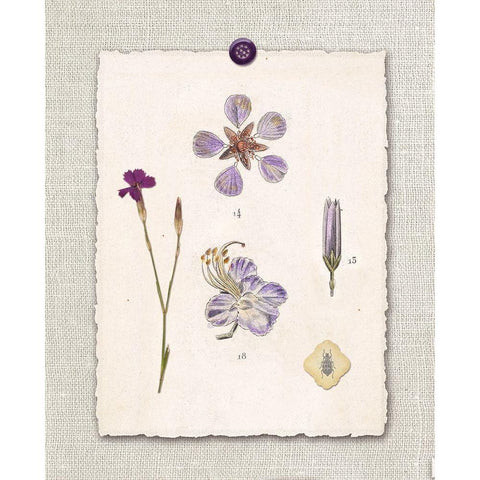 Paris Flea Market Petals Black Modern Wood Framed Art Print by Ross, Devon