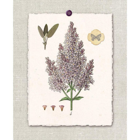 Paris Flea Market Lilacs White Modern Wood Framed Art Print by Ross, Devon