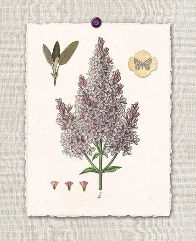 Paris Flea Market Lilacs Black Ornate Wood Framed Art Print with Double Matting by Ross, Devon