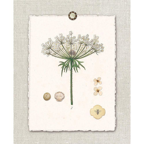 Paris FL Mrkt Queen Annes Lace Gold Ornate Wood Framed Art Print with Double Matting by Ross, Devon