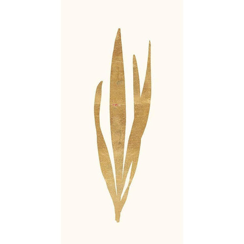 Gold Botanical 1 White Modern Wood Framed Art Print by Ross, Devon