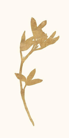 Gold Botanical 2 Black Ornate Wood Framed Art Print with Double Matting by Ross, Devon