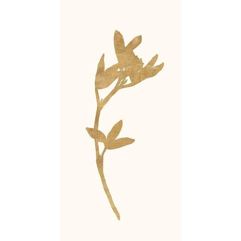 Gold Botanical 2 Black Modern Wood Framed Art Print by Ross, Devon