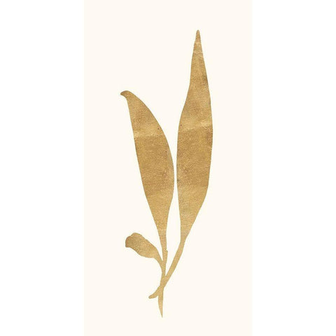Gold Botanical 5 Gold Ornate Wood Framed Art Print with Double Matting by Ross, Devon