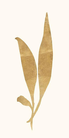 Gold Botanical 5 White Modern Wood Framed Art Print with Double Matting by Ross, Devon