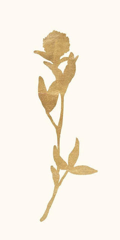 Gold Botanical 6 White Modern Wood Framed Art Print with Double Matting by Ross, Devon