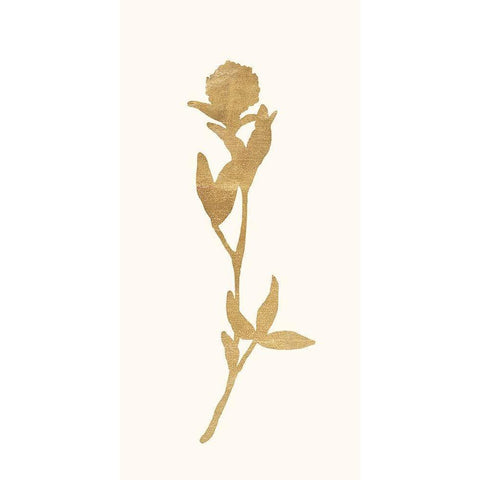Gold Botanical 6 Black Modern Wood Framed Art Print by Ross, Devon
