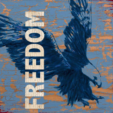 Freedom Reigns Black Modern Wood Framed Art Print with Double Matting by Appleman, Sam