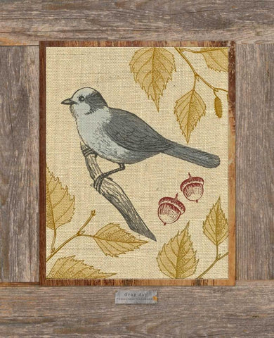Gray Jay Black Ornate Wood Framed Art Print with Double Matting by Appleman, Sam