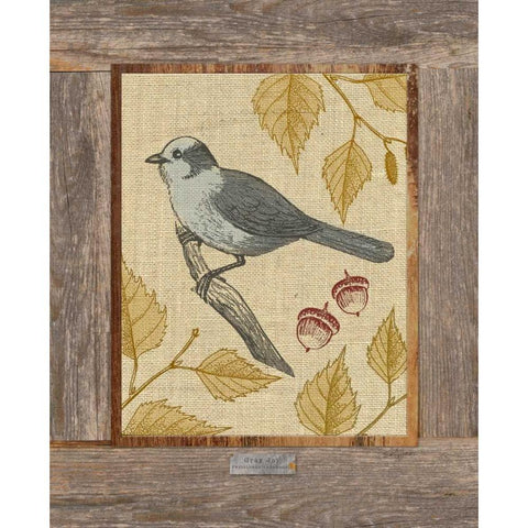 Gray Jay Gold Ornate Wood Framed Art Print with Double Matting by Appleman, Sam