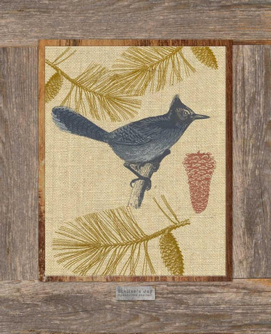Steller Jay Black Ornate Wood Framed Art Print with Double Matting by Appleman, Sam