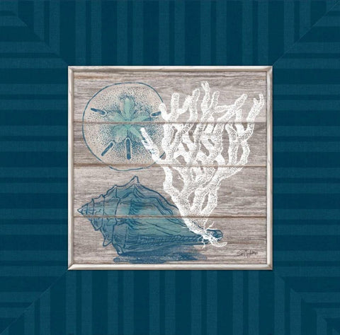 Coastal Wonders White Modern Wood Framed Art Print with Double Matting by Appleman, Sam