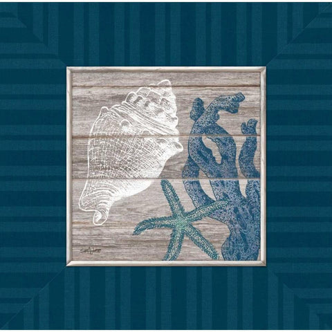 Coastal Treasures Black Modern Wood Framed Art Print by Appleman, Sam