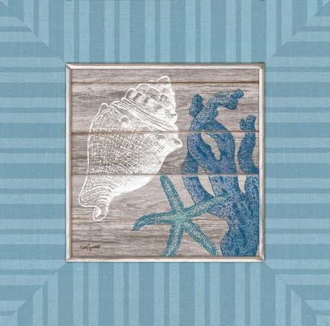 Coastal Treasures White Modern Wood Framed Art Print with Double Matting by Appleman, Sam