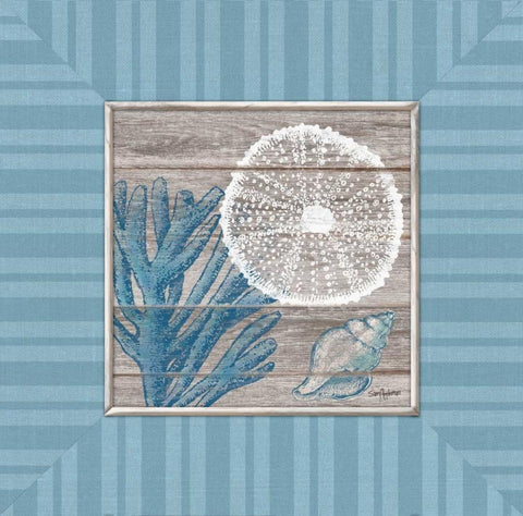 Coastal Bliss White Modern Wood Framed Art Print with Double Matting by Appleman, Sam