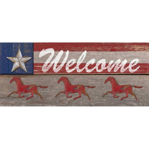 Rustic Welcome Black Modern Wood Framed Art Print with Double Matting by Appleman, Sam