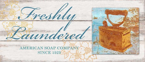 Freshly Laundered White Modern Wood Framed Art Print with Double Matting by Appleman, Sam