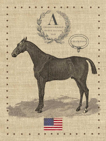 American Champion White Modern Wood Framed Art Print with Double Matting by Appleman, Sam