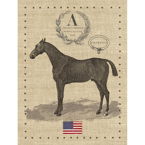 American Champion Black Modern Wood Framed Art Print by Appleman, Sam