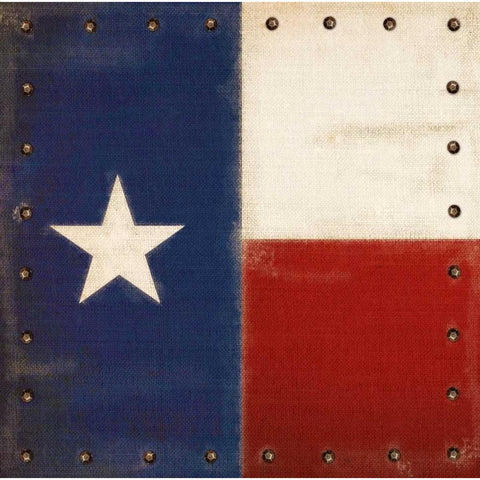 Vintage Texas Flag Black Modern Wood Framed Art Print with Double Matting by Appleman, Sam