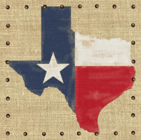 Lone Star State Black Ornate Wood Framed Art Print with Double Matting by Appleman, Sam