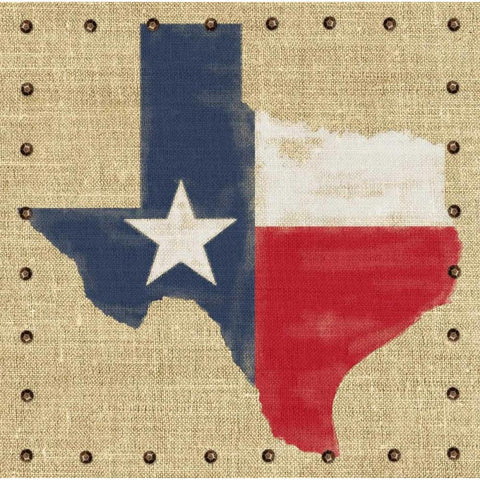 Lone Star State Black Modern Wood Framed Art Print with Double Matting by Appleman, Sam