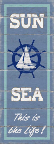 Sun and Sea Panel Black Ornate Wood Framed Art Print with Double Matting by Appleman, Sam