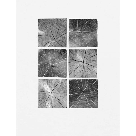 Wood Block Squares Black Modern Wood Framed Art Print with Double Matting by Appleman, Sam