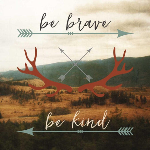 Be Brave, Be Kind White Modern Wood Framed Art Print by Appleman, Sam