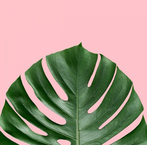 Miami Vibe 2 Black Ornate Wood Framed Art Print with Double Matting by Duprais, Cameron