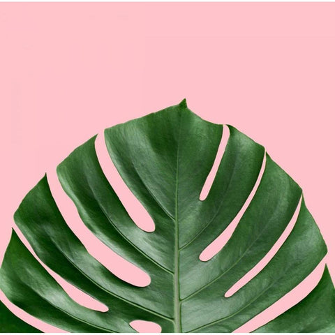 Miami Vibe 2 Black Modern Wood Framed Art Print by Duprais, Cameron