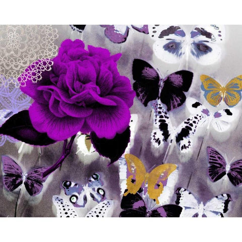 Butterfly Collage Magenta Black Modern Wood Framed Art Print by Taylor, Evangeline