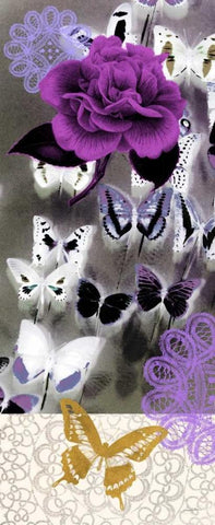 Butterfly Showers 1 Black Ornate Wood Framed Art Print with Double Matting by Taylor, Evangeline