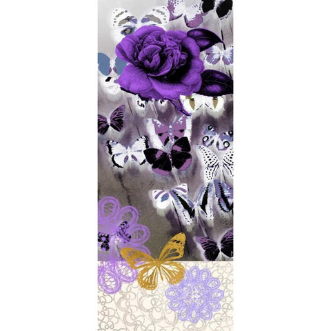 Butterfly Showers 2 White Modern Wood Framed Art Print by Taylor, Evangeline