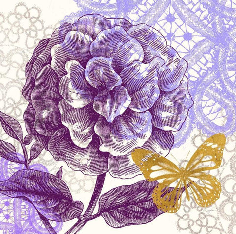 Lace Butterfly 1 White Modern Wood Framed Art Print with Double Matting by Taylor, Evangeline