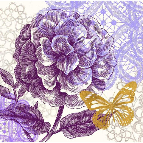 Lace Butterfly 1 Black Modern Wood Framed Art Print with Double Matting by Taylor, Evangeline