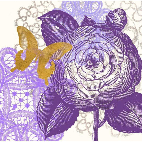 Lace Butterfly 2 Black Modern Wood Framed Art Print with Double Matting by Taylor, Evangeline