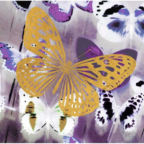Raining Butterflies 1 White Modern Wood Framed Art Print by Taylor, Evangeline