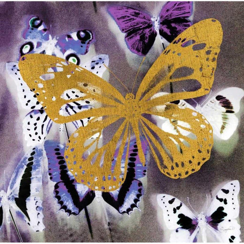Raining Butterflies 2 Black Modern Wood Framed Art Print by Taylor, Evangeline