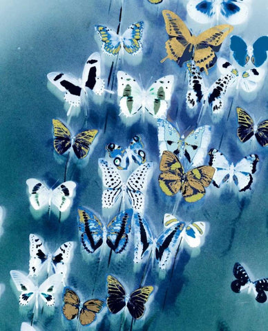 Bouquet Of Butterflies White Modern Wood Framed Art Print with Double Matting by Taylor, Evangeline