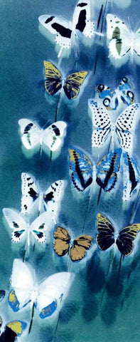 Morccan Blue Butterflies 1 White Modern Wood Framed Art Print with Double Matting by Taylor, Evangeline