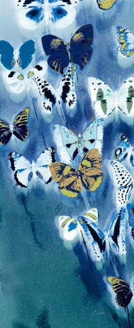 Morccan Blue Butterflies 2 White Modern Wood Framed Art Print with Double Matting by Taylor, Evangeline