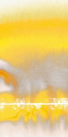 Tranquil Yellow 1 White Modern Wood Framed Art Print with Double Matting by Taylor, Evangeline