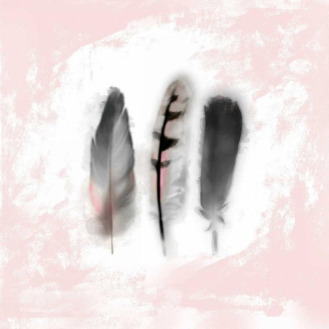 Watercolor Feather Study 1 in Pink White Modern Wood Framed Art Print with Double Matting by Taylor, Evangeline