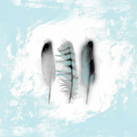 Watercolor Feather Study 3 in Blue Black Modern Wood Framed Art Print with Double Matting by Taylor, Evangeline