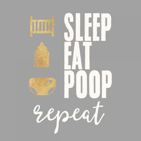 Sleep, Eat, Poop White Modern Wood Framed Art Print with Double Matting by Taylor, Evangeline