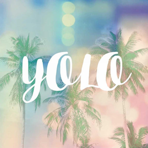 YOLO White Modern Wood Framed Art Print by Taylor, Evangeline