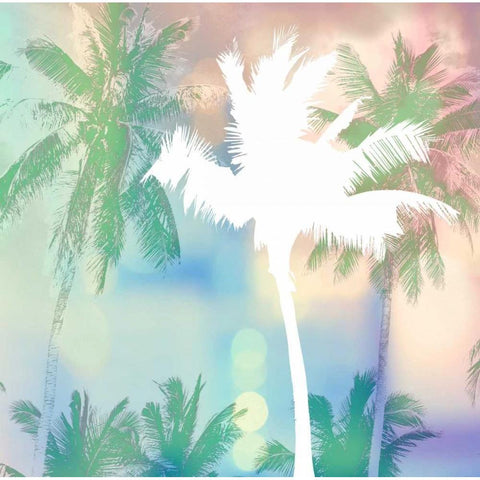 Dreamy Palm Trees White Modern Wood Framed Art Print by Taylor, Evangeline