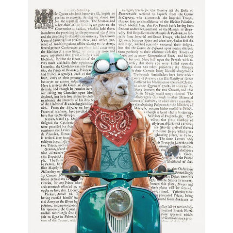 Portllama Black Modern Wood Framed Art Print with Double Matting by Taylor, Evangeline