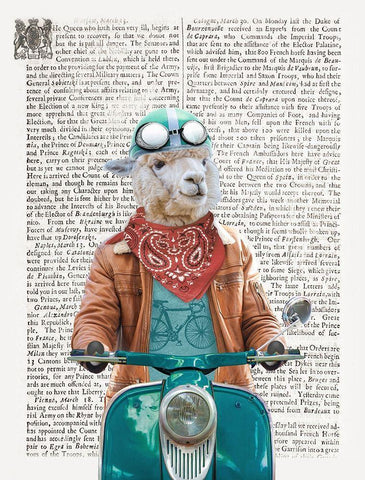 Portllama White Modern Wood Framed Art Print with Double Matting by Taylor, Evangeline